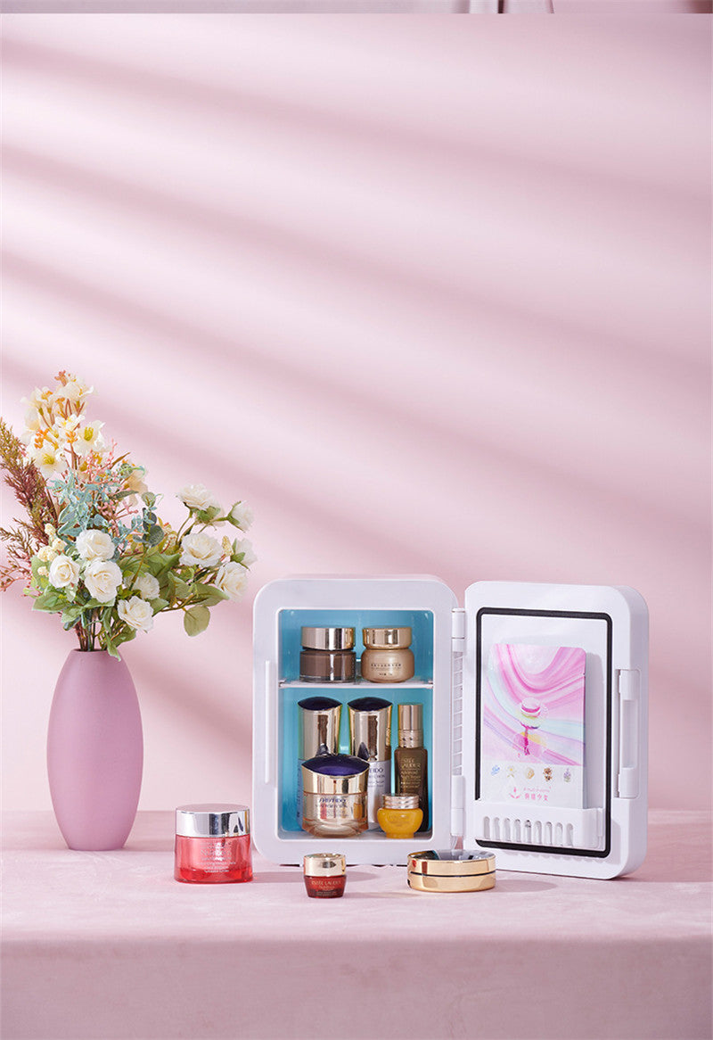 Mini Refrigerator 110v Beauty Mirror Car Home